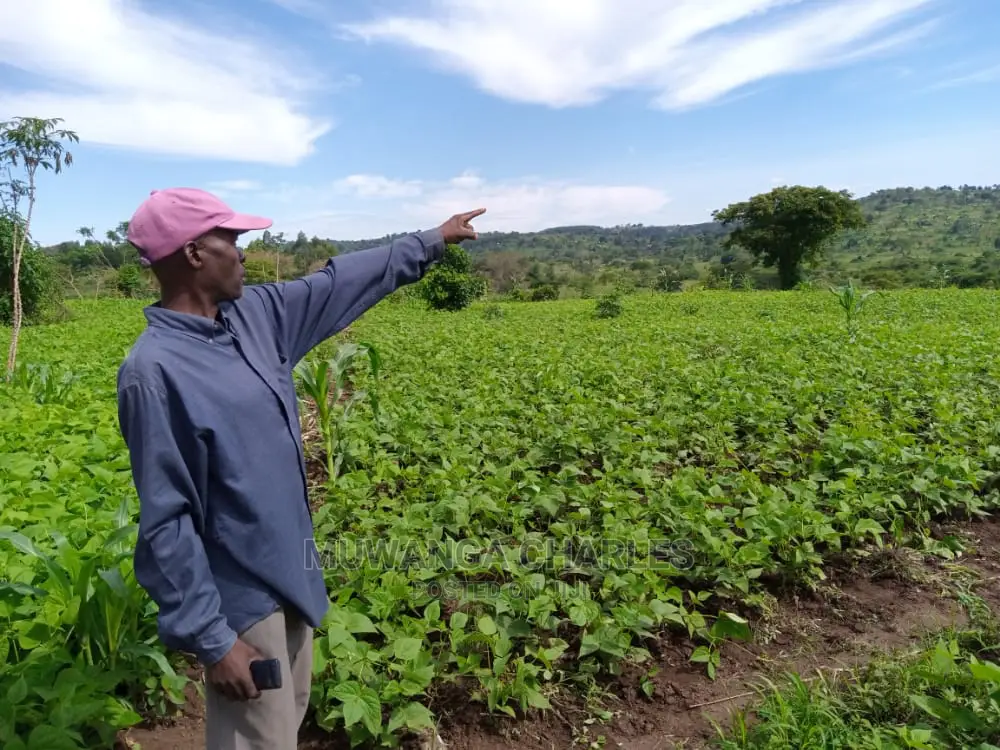 20acre's Is Available for Sale in Nakaseke in Luweero
