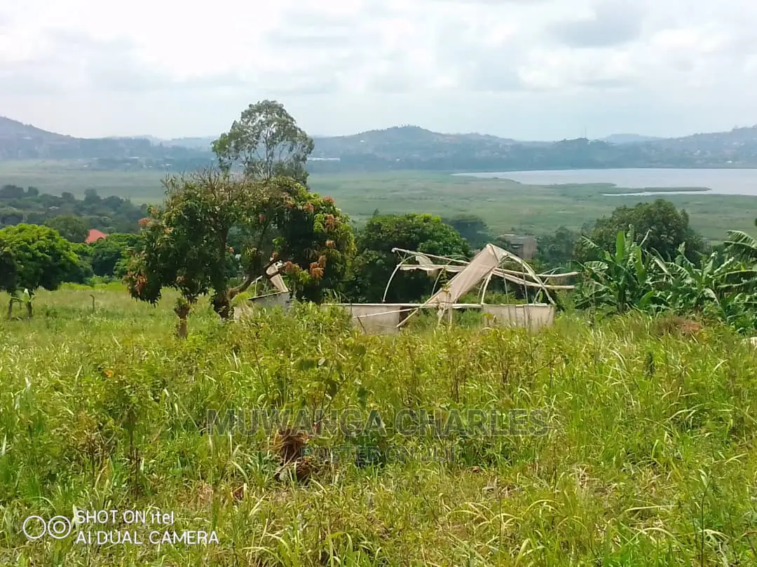 Plots Is Available for Sale in Kajjansi Bweya in Wakiso