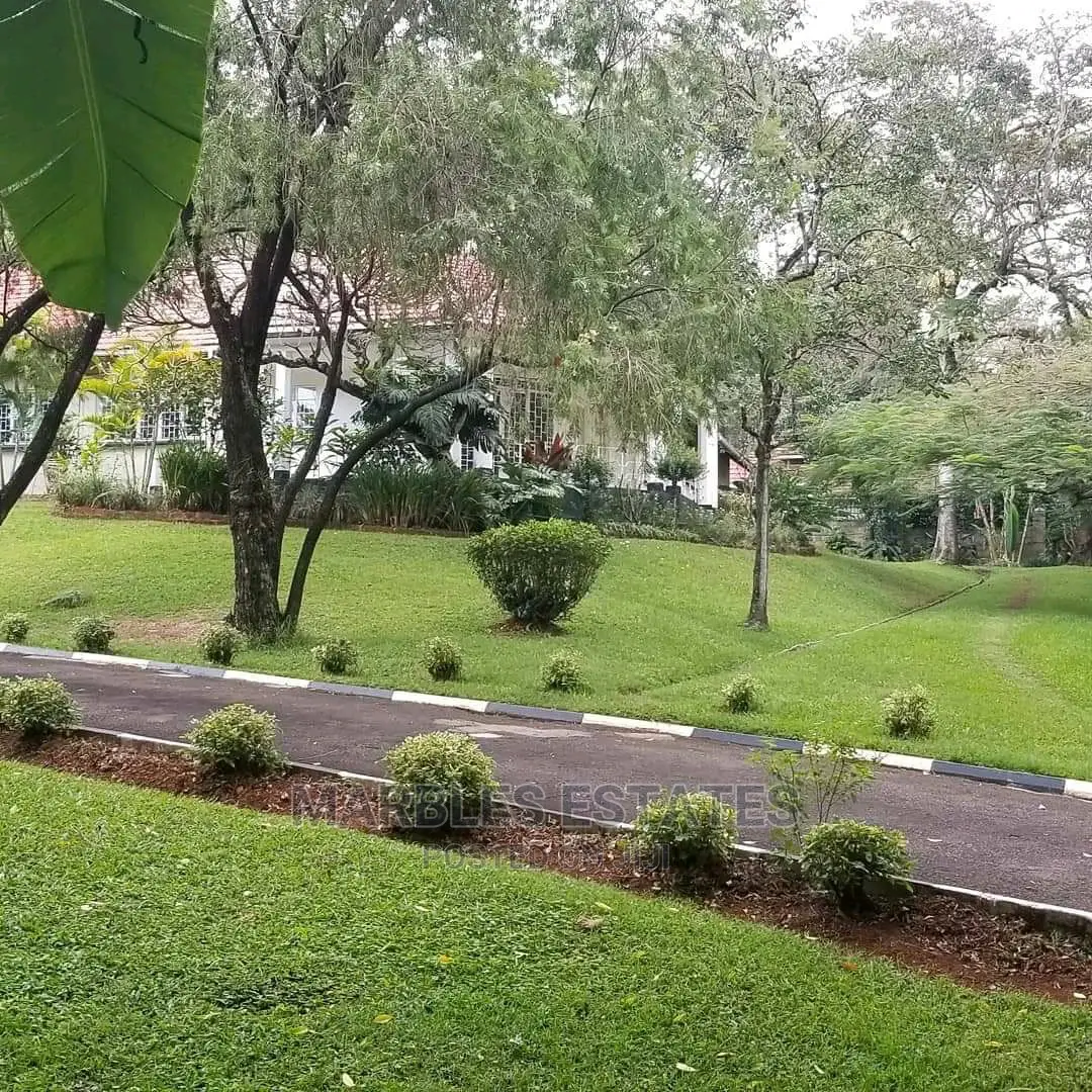 4bdrm Bungalow in Kololo, Kampala for rent in Kampala