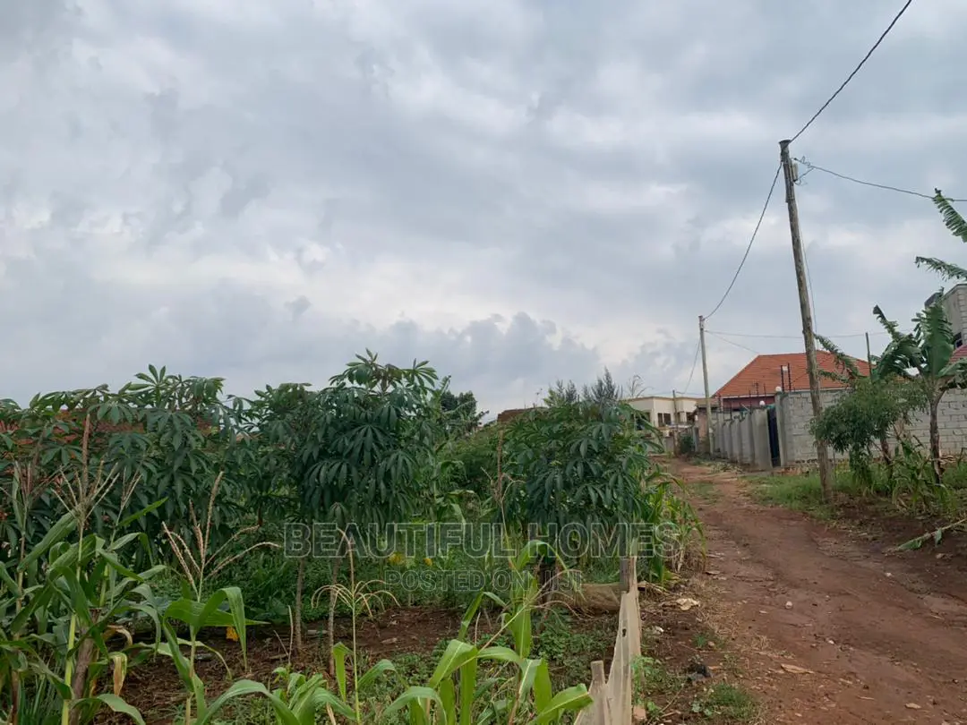 Kira Kimwani 25 Decimals Near Tarmack,Fast Sell in Kampala