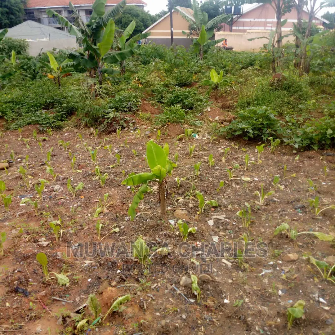 25decimals Is Available for Sale in Kyaliwajara in Kampala