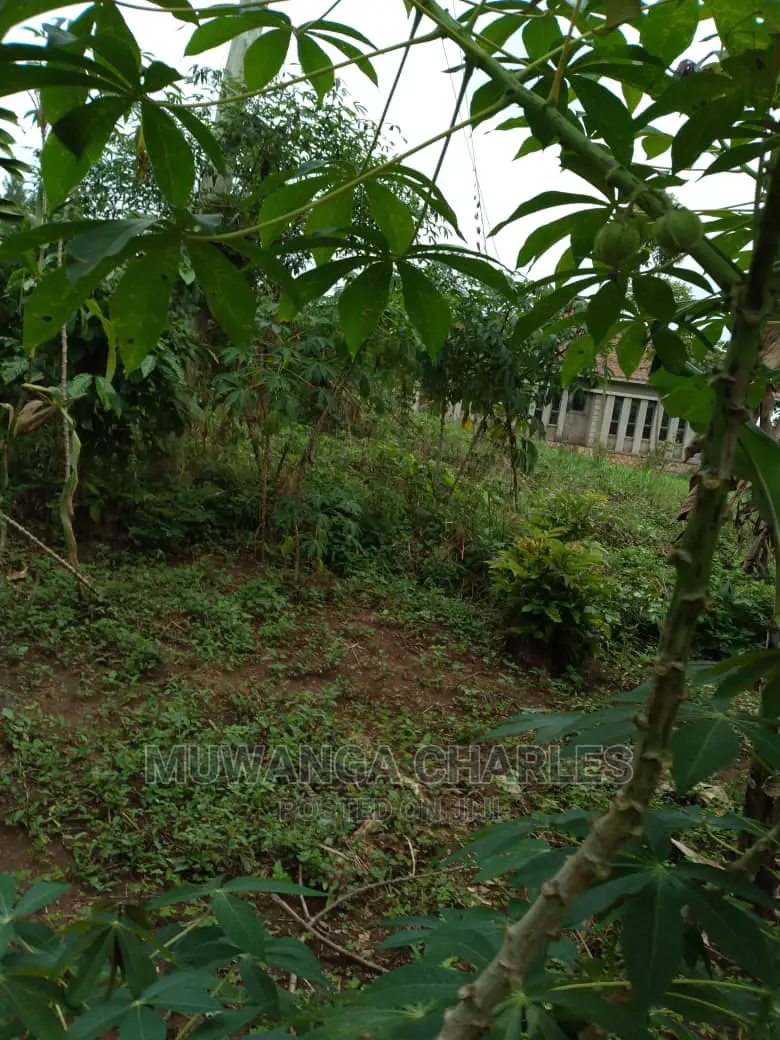 1.5acres Is Available for Sale in Kiwenda in Wakiso