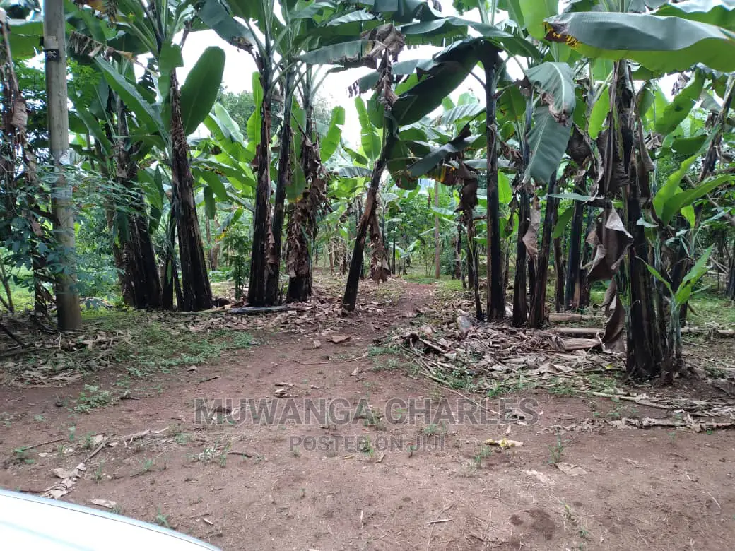 1.5acres Is Available for Sale in Kiwenda in Wakiso
