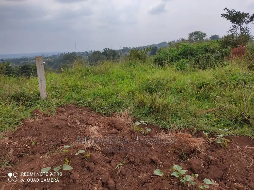 Plots Is Available for Sale in Wakiso Namusera in Wakiso