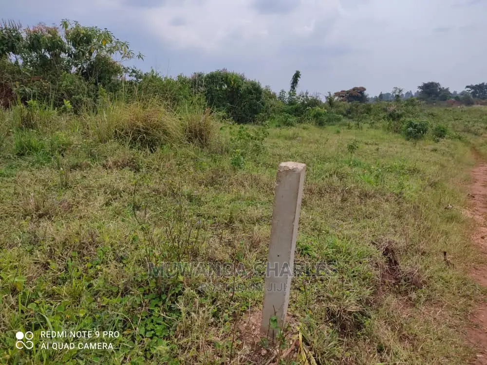 Plots Is Available for Sale in Wakiso Namusera in Wakiso