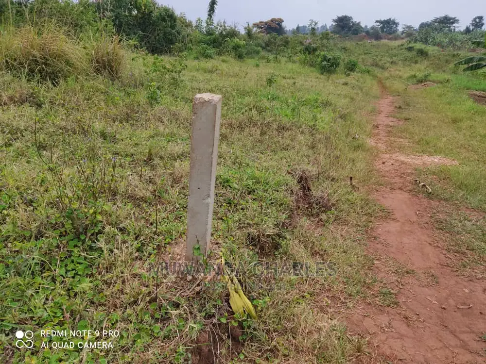 Plots Is Available for Sale in Wakiso Namusera in Wakiso