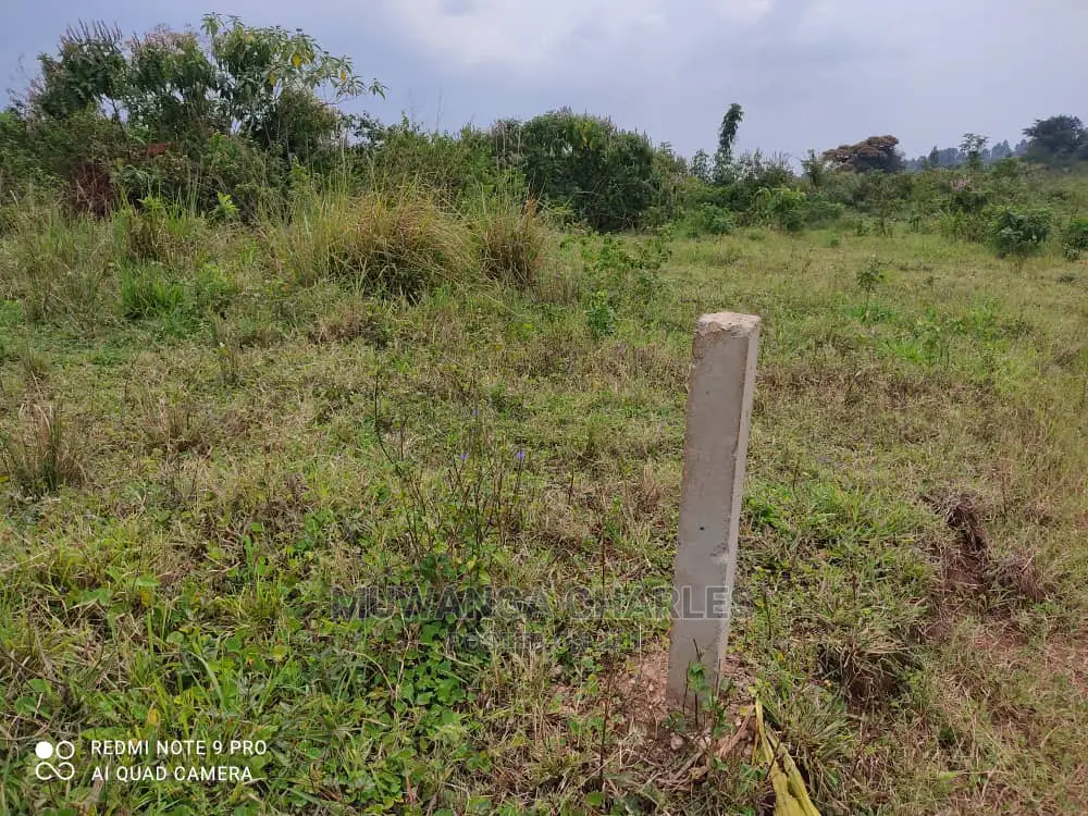 Plots Is Available for Sale in Wakiso Namusera in Wakiso