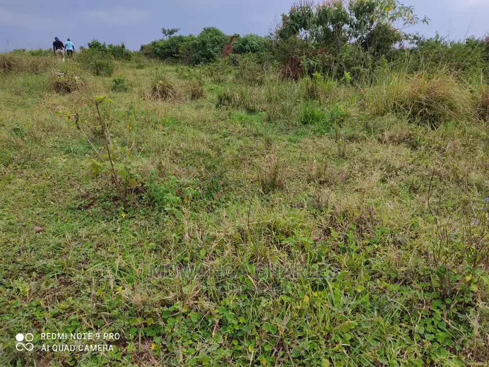 Plots Is Available for Sale in Wakiso Namusera in Wakiso