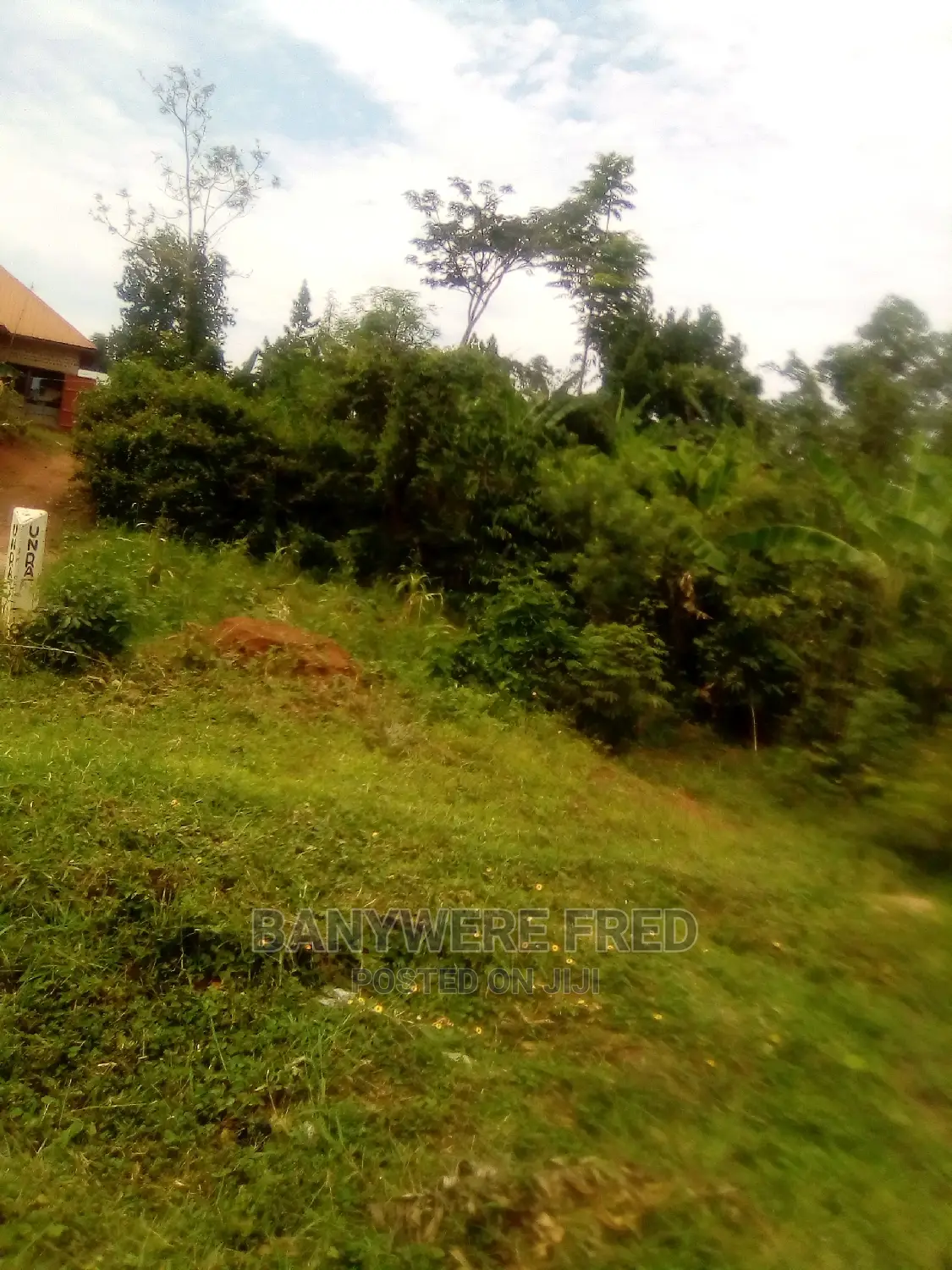 50/100 in Kayunga District for Sale in Kayunga