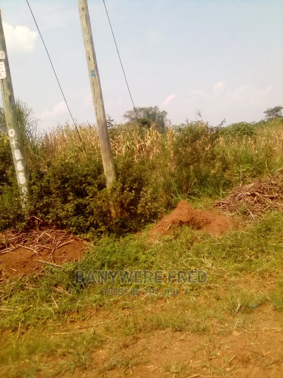 50/100 Namwendwa Centre Kamuli District for Sale in Kamuli / Kakiri