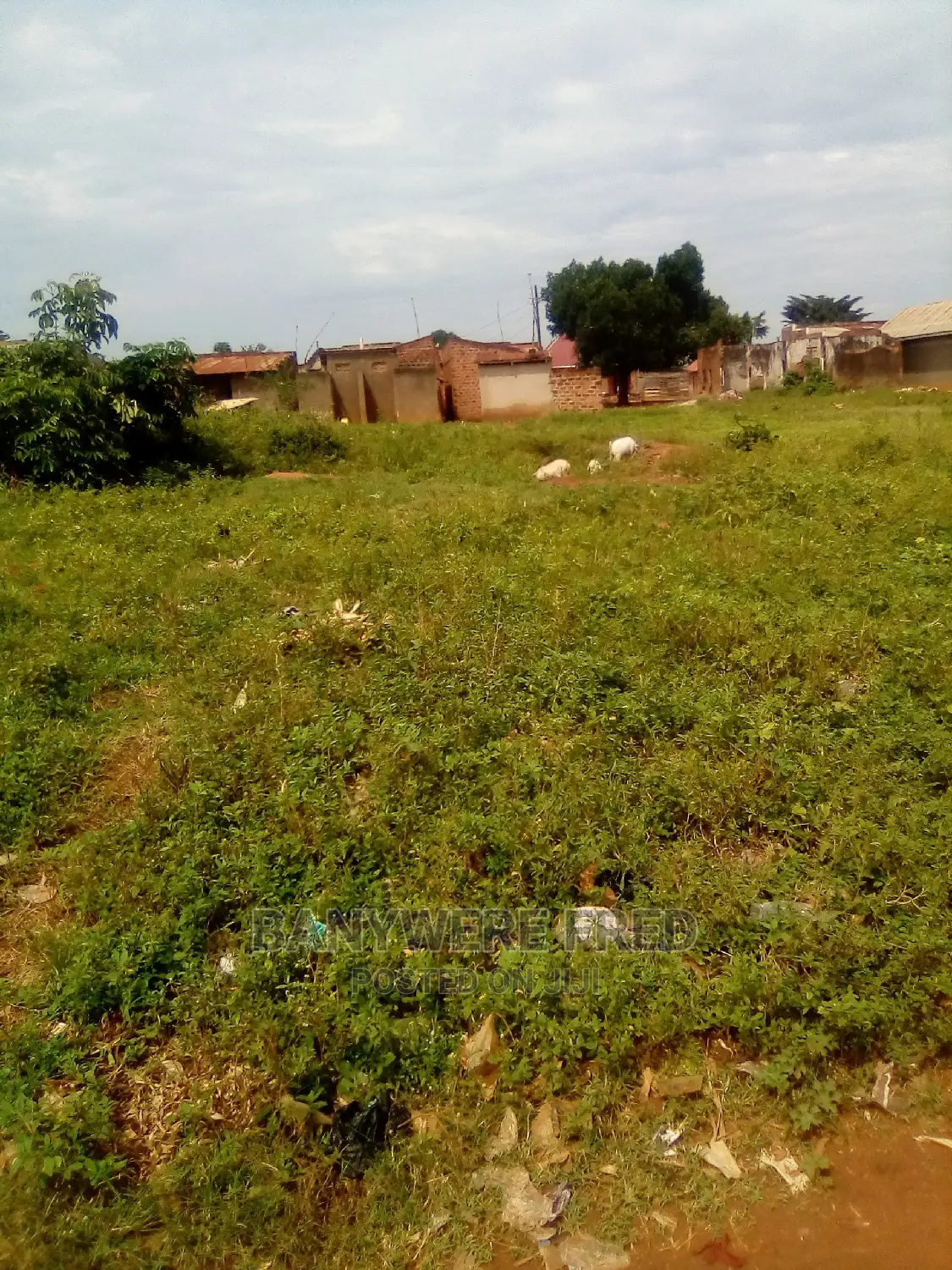100/100 Plot on Sale in Namave Mukono in Mukono