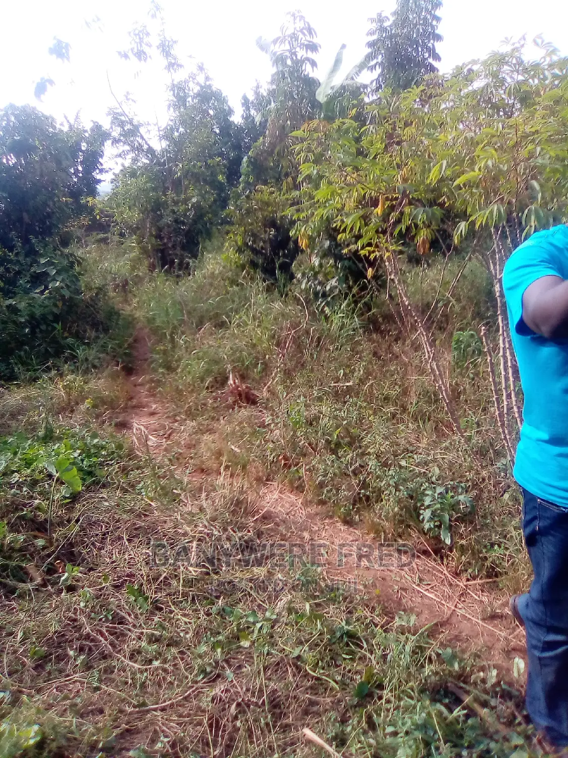 Ndese Mukono 50/100 Plot on Sale in Mukono