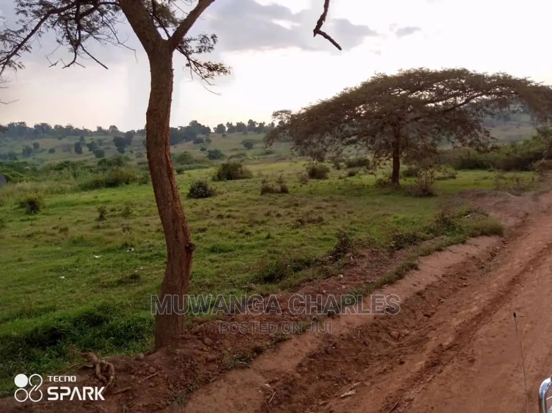 50acre's Is Available for Sale in Nakasongola in Wakiso