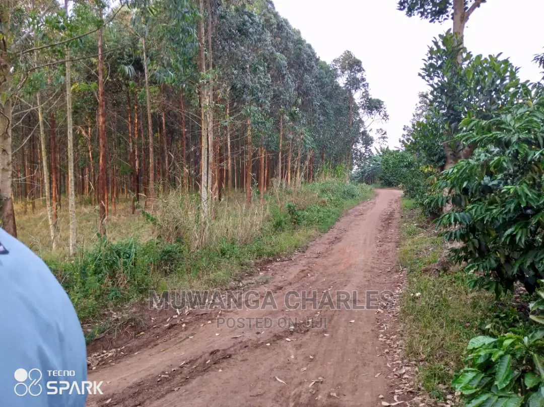 50acre's Is Available for Sale in Nakasongola in Wakiso
