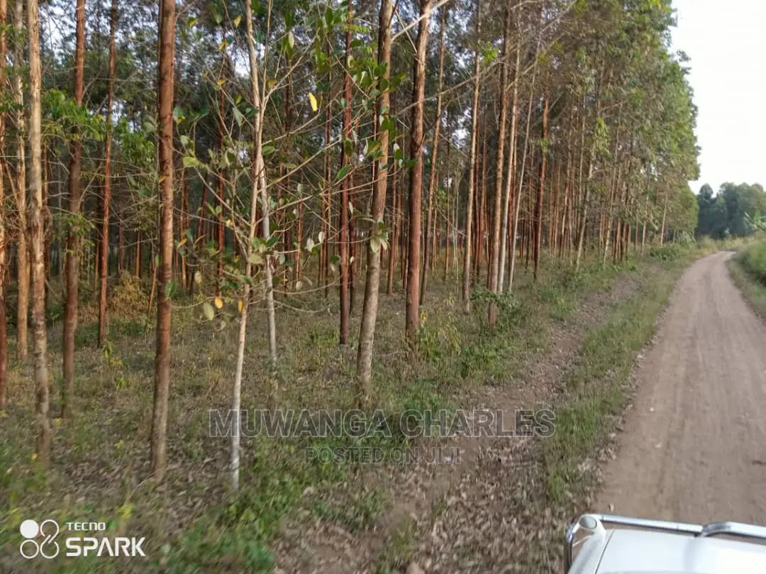 50acre's Is Available for Sale in Nakasongola in Wakiso