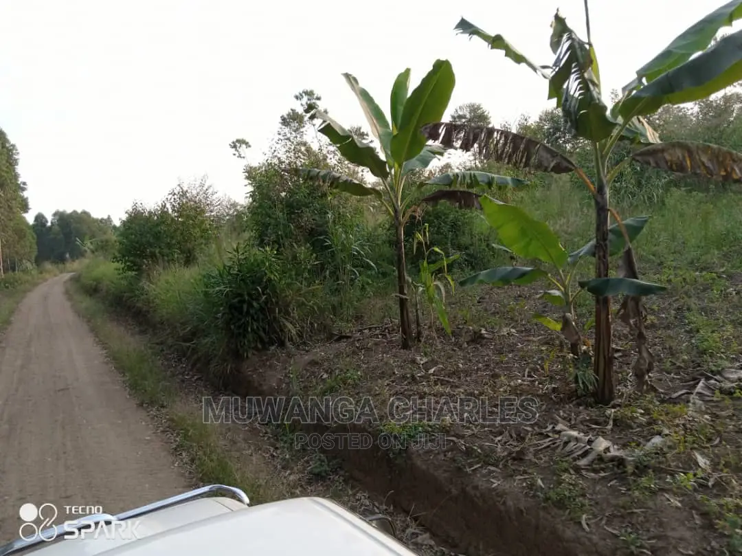 50acre's Is Available for Sale in Nakasongola in Wakiso