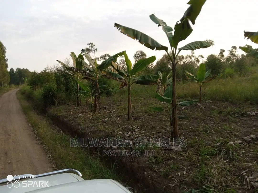 50acre's Is Available for Sale in Nakasongola in Wakiso