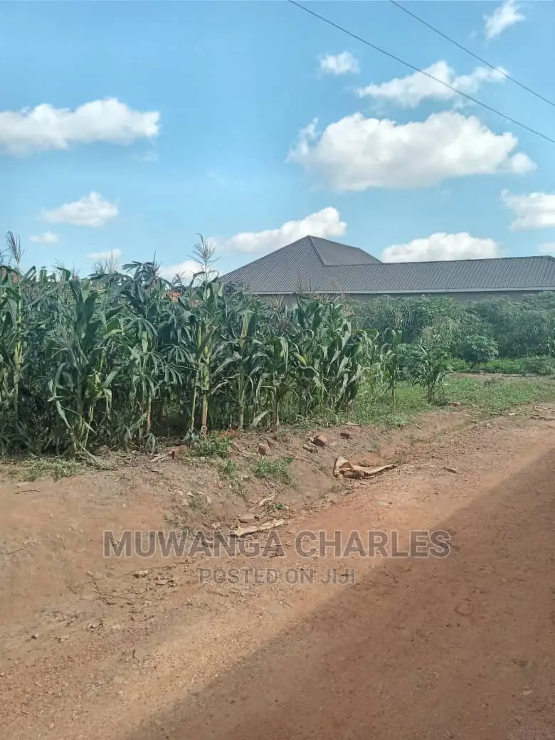 Plots Is for Sale in Matugga Bombo Road in Wakiso