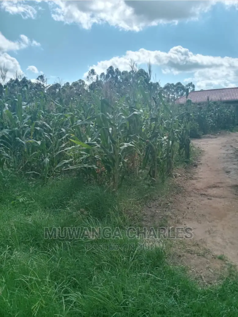 Plots Is for Sale in Matugga Bombo Road in Wakiso