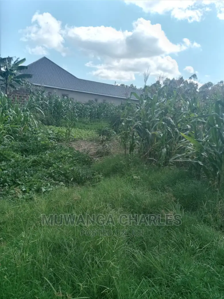 Plots Is for Sale in Matugga Bombo Road in Wakiso