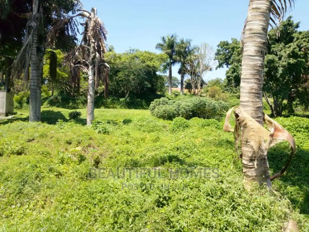 Kalangala Beach 10 Acres on Sell in Kampala