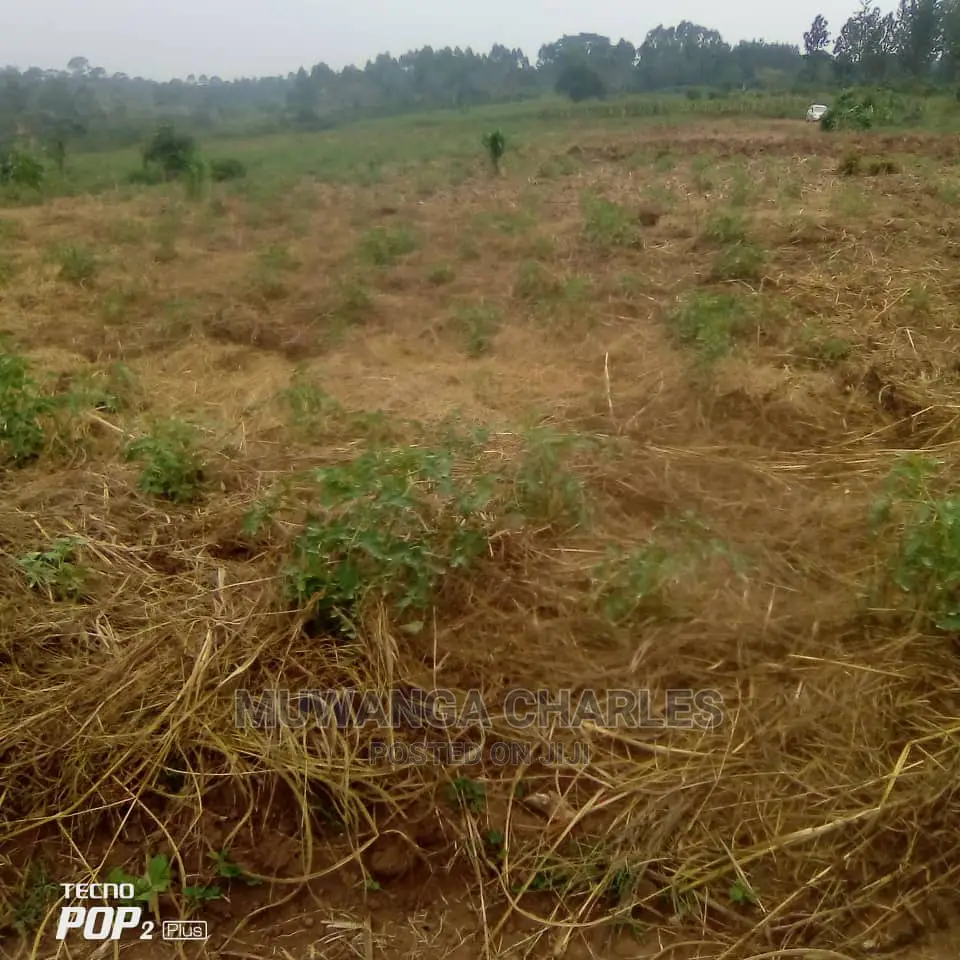 Plot's Is Available for Sale in Wakiso Namusera in Wakiso