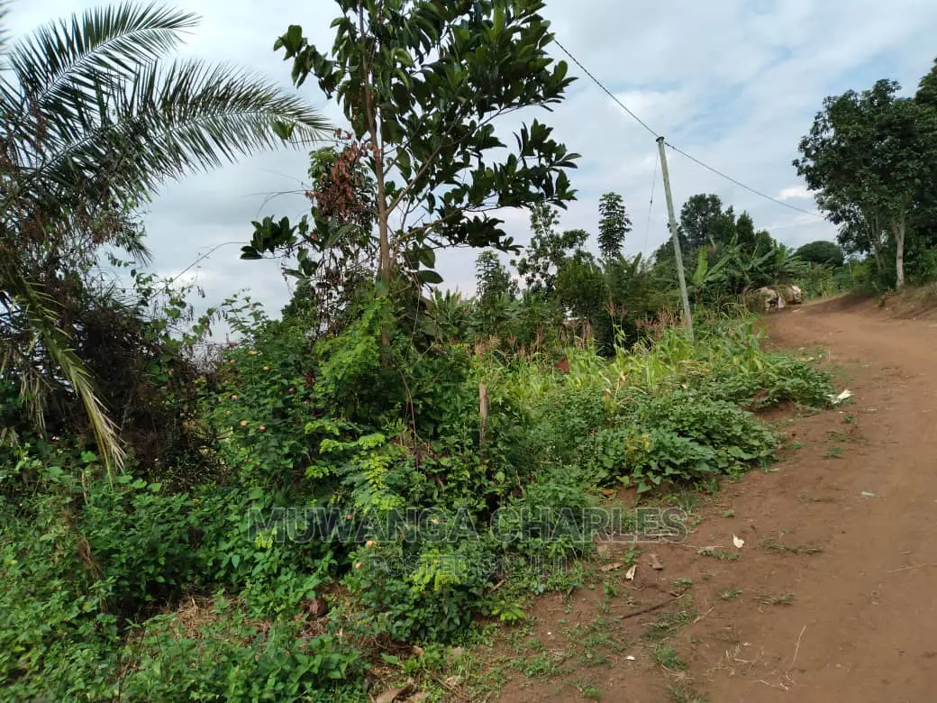 1acre of Land Is Available for Sale in Kiwenda in Wakiso