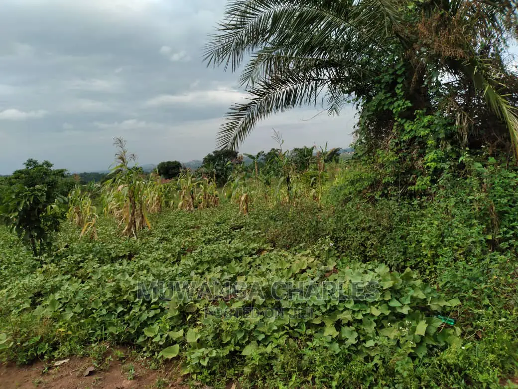 1acre of Land Is Available for Sale in Kiwenda in Wakiso