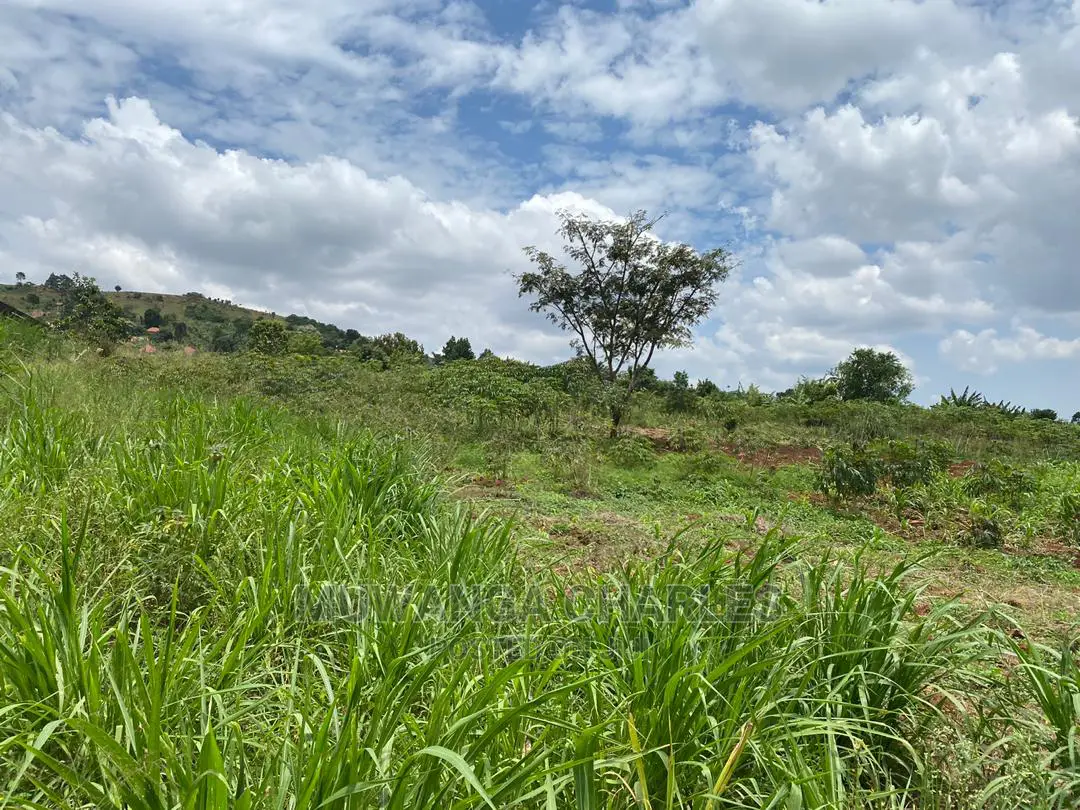 Plots Is Available for in Matugga Kigogwa in Wakiso