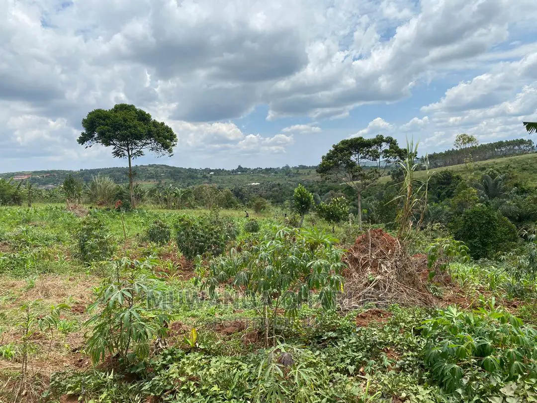 Plots Is Available for in Matugga Kigogwa in Wakiso