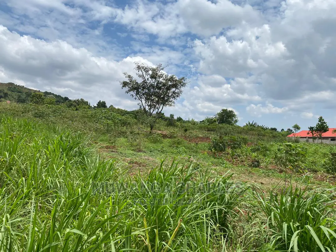 Plots Is Available for in Matugga Kigogwa in Wakiso