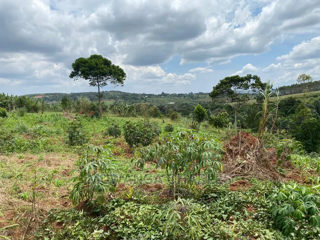 Plots Is Available for in Matugga Kigogwa in Wakiso