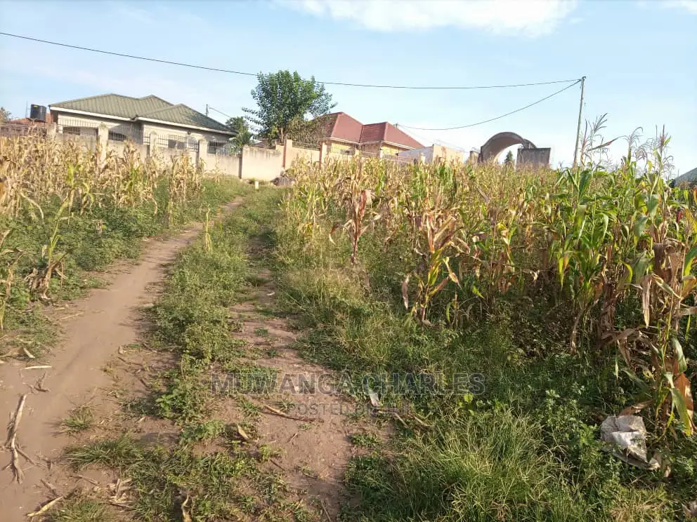 Plot Is Available for Sale in Namugongo Sonde in Kampala
