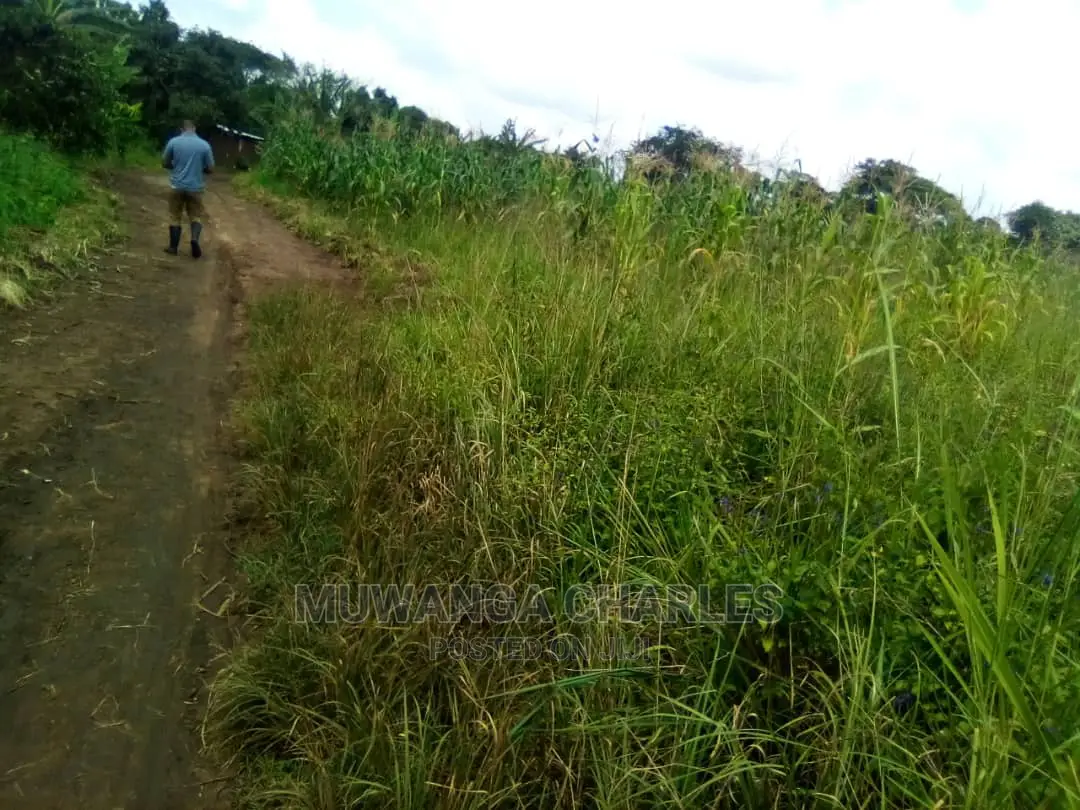 15acre's Is Available for Sale in Luwero in Luweero