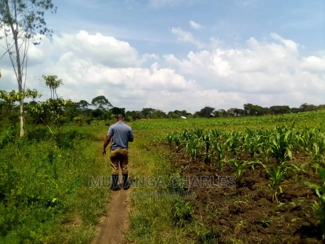 15acre's Is Available for Sale in Luwero in Luweero