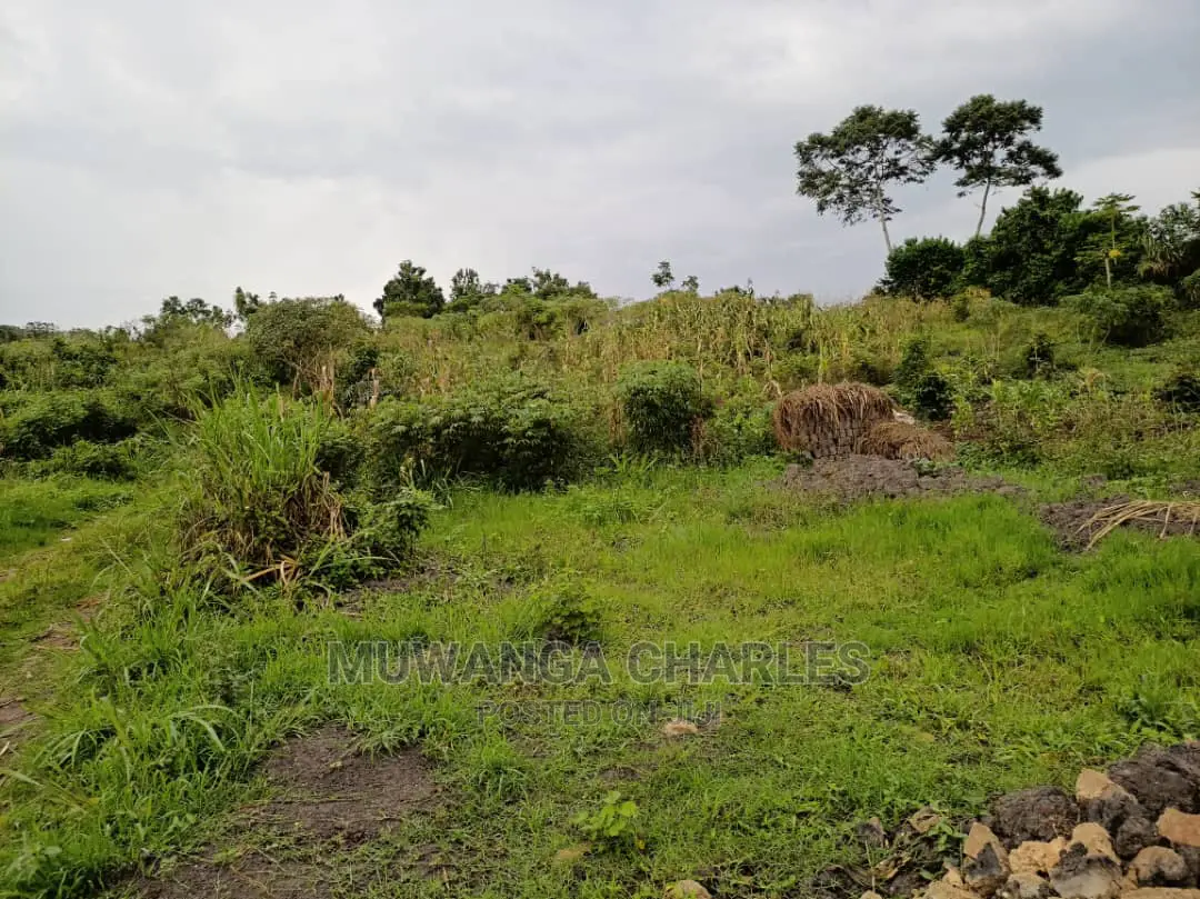 Plot Is Available for Sale in Matugga Migadde in Wakiso