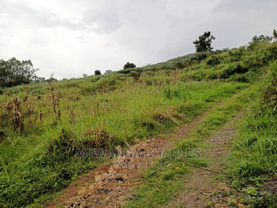 Plot Is Available for Sale in Matugga Migadde in Wakiso