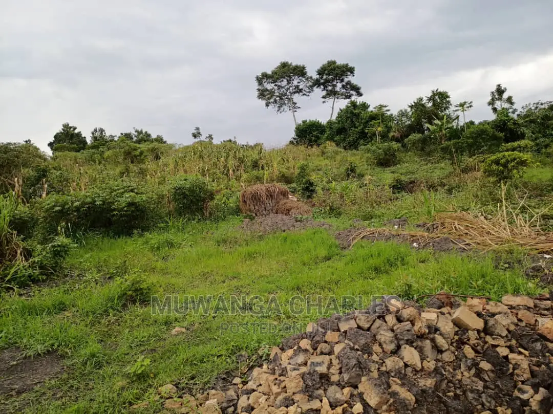 Plot Is Available for Sale in Matugga Migadde in Wakiso