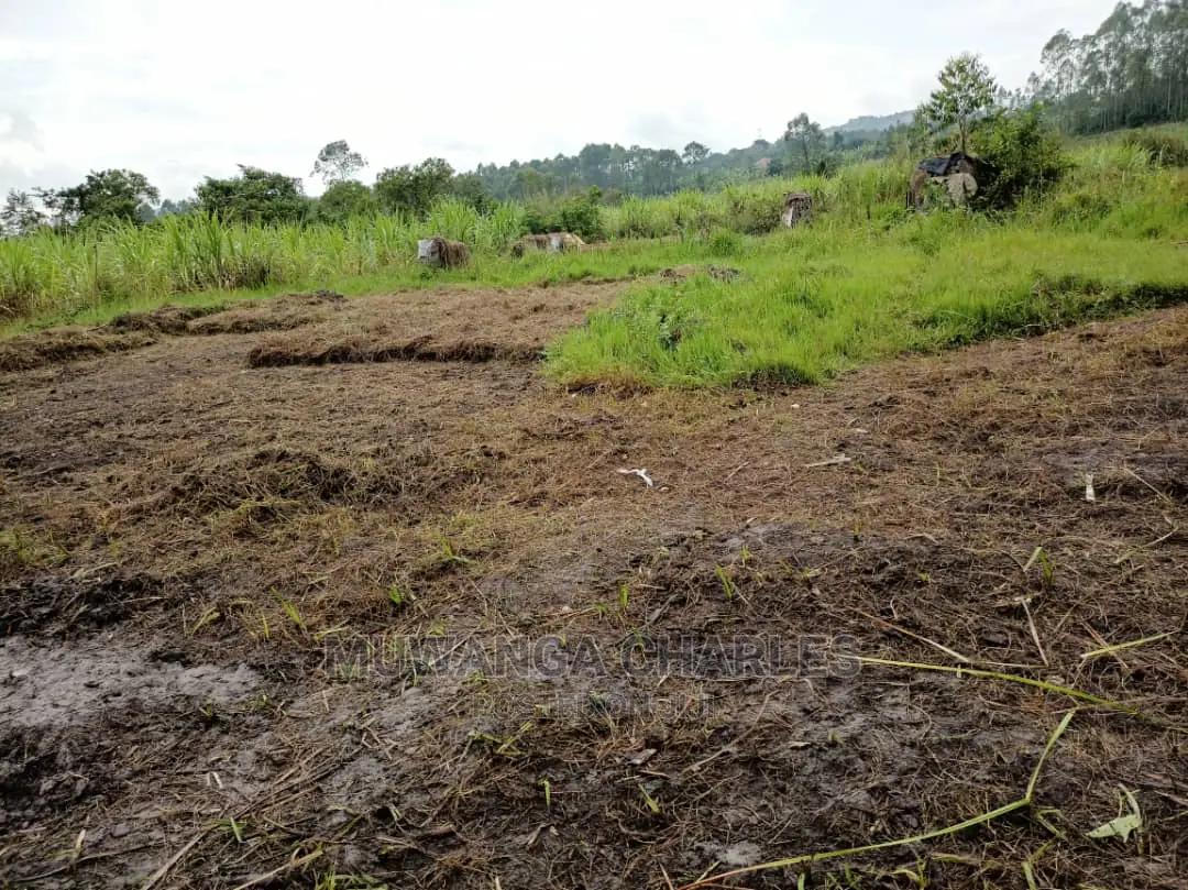 Plot Is Available for Sale in Mutugga Migadde in Wakiso