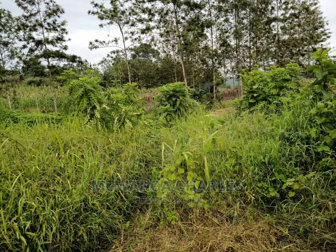 Plot Is Available for Sale in Mutugga Migadde in Wakiso