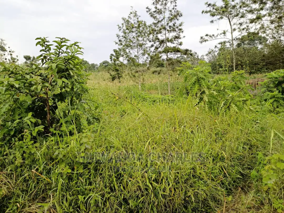 Plot Is Available for Sale in Mutugga Migadde in Wakiso