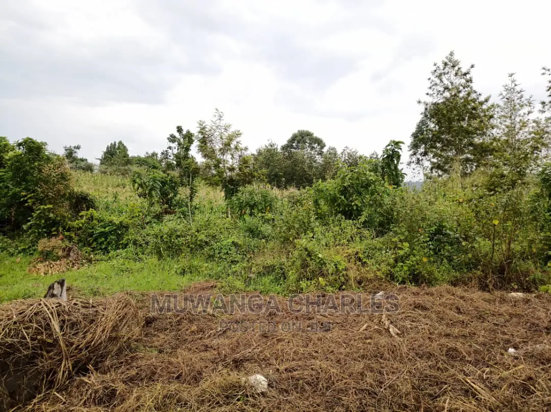 Plot Is Available for Sale in Mutugga Migadde in Wakiso