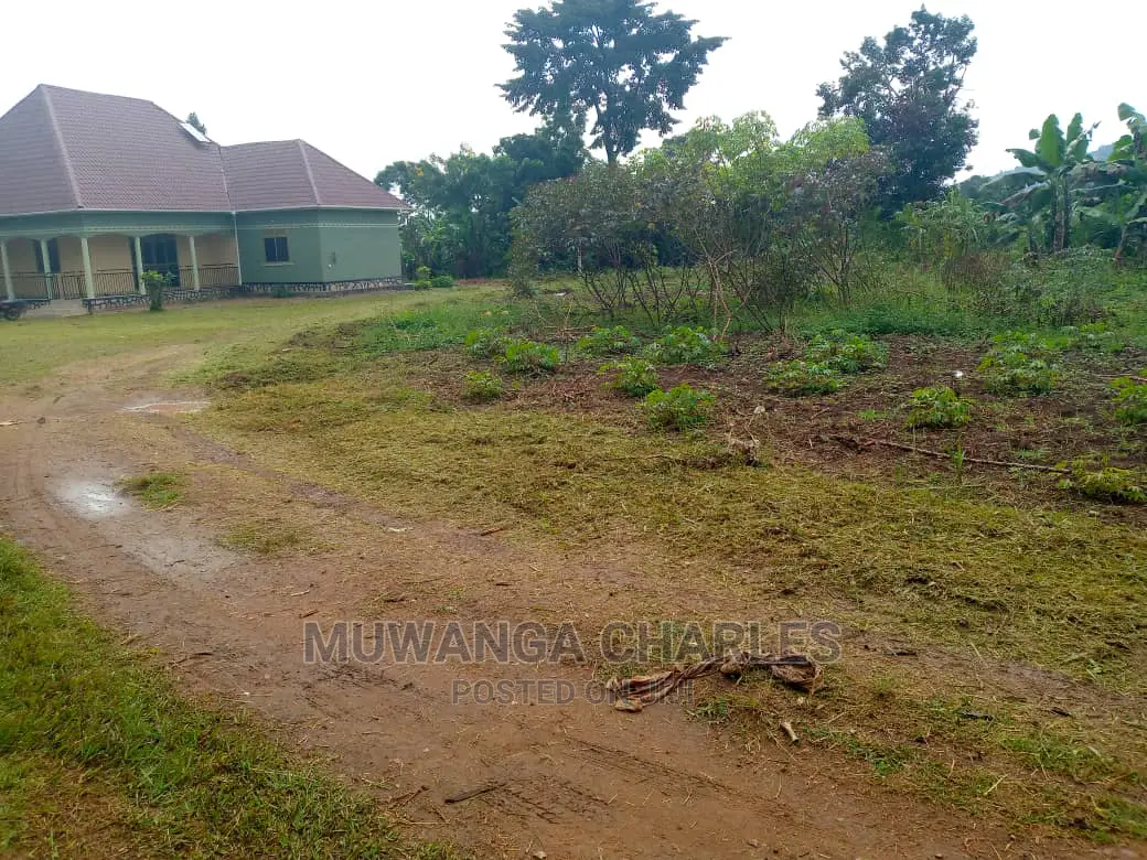 Plot Is Available for Sale in Matuga Migadde in Division A
