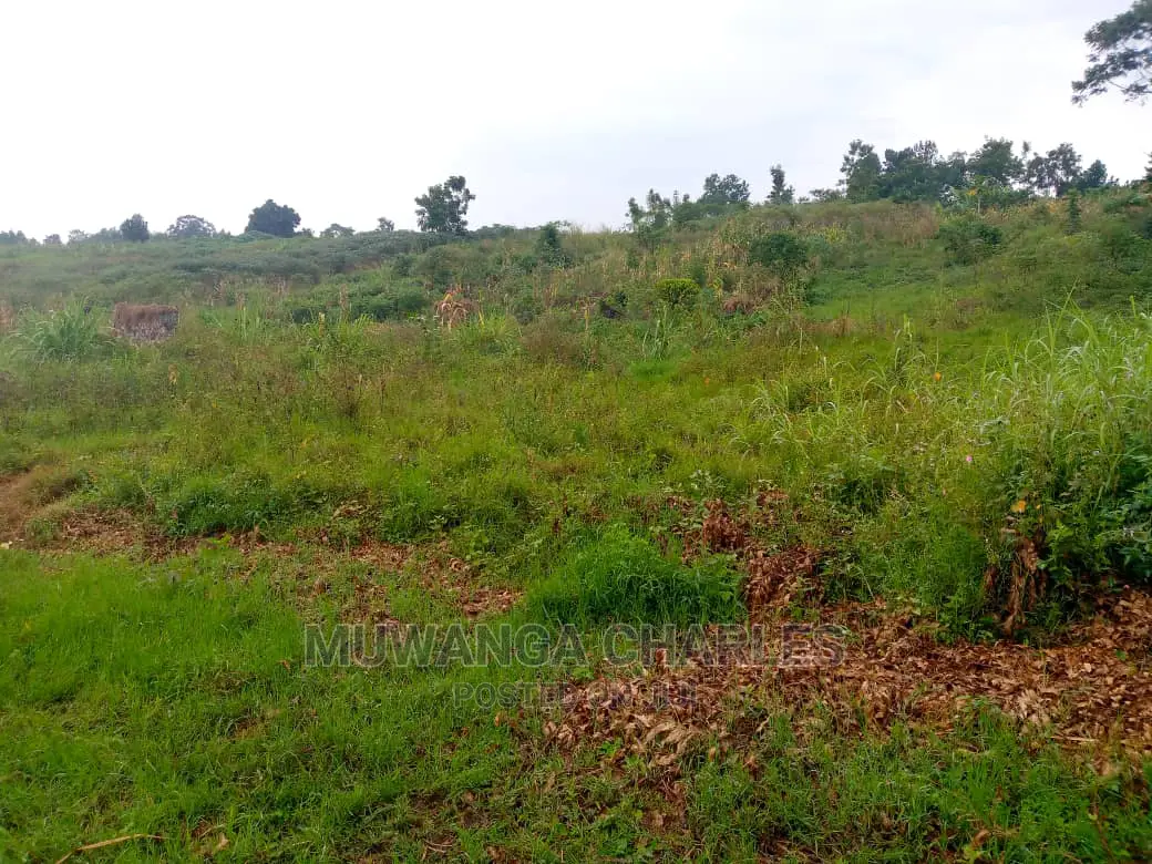 Plot Is Available for Sale in Matuga Migadde in Division A