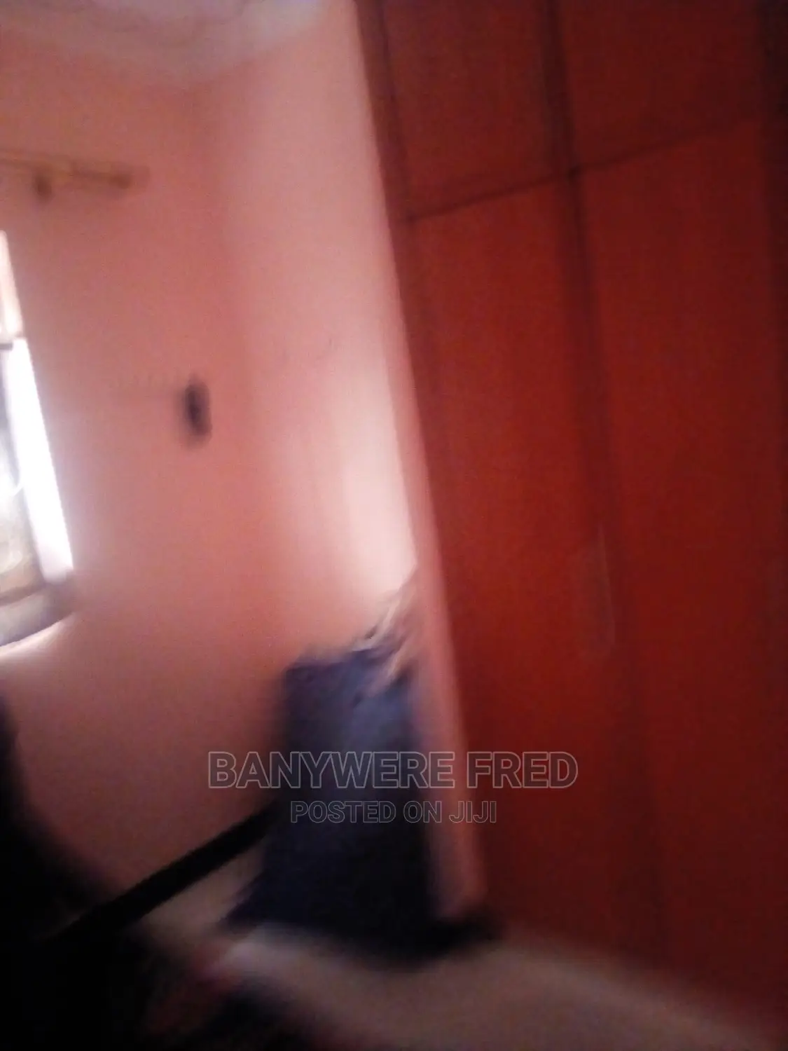 Furnished 2bdrm Bungalow in Wakiso for Rent in Wakiso