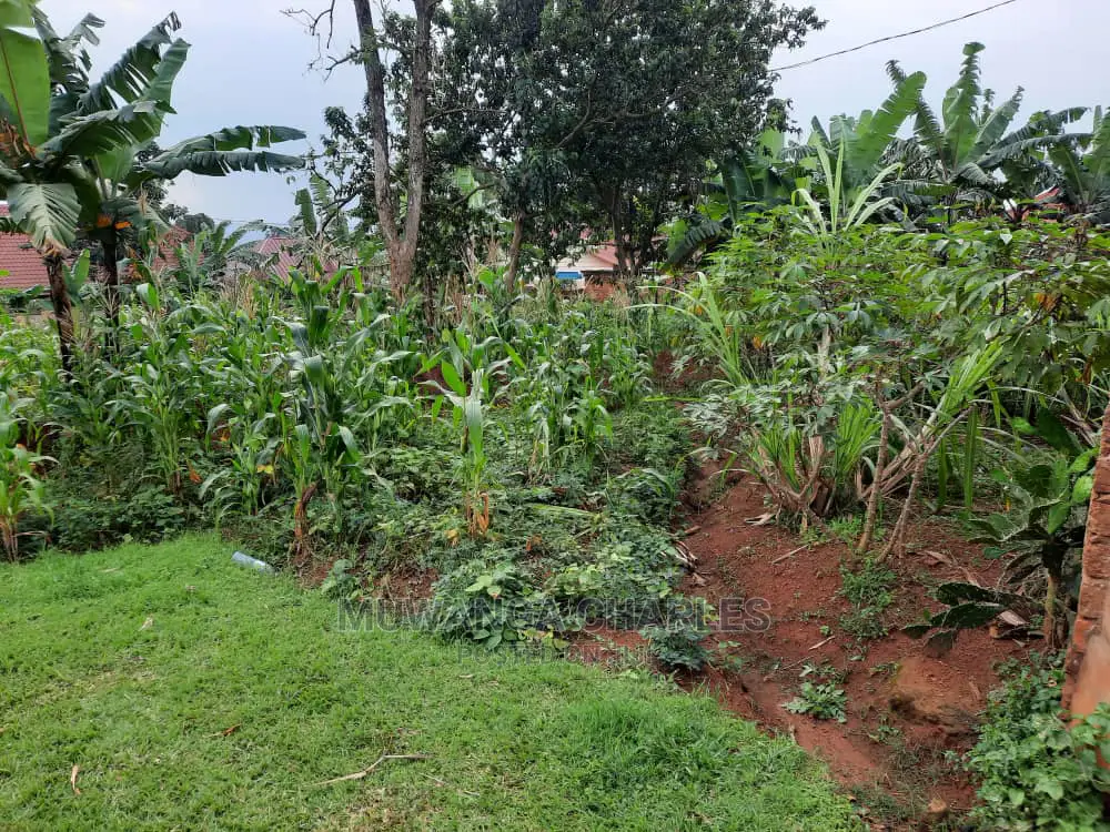 10acre's Is Available for Sale in Mukono in Mukono