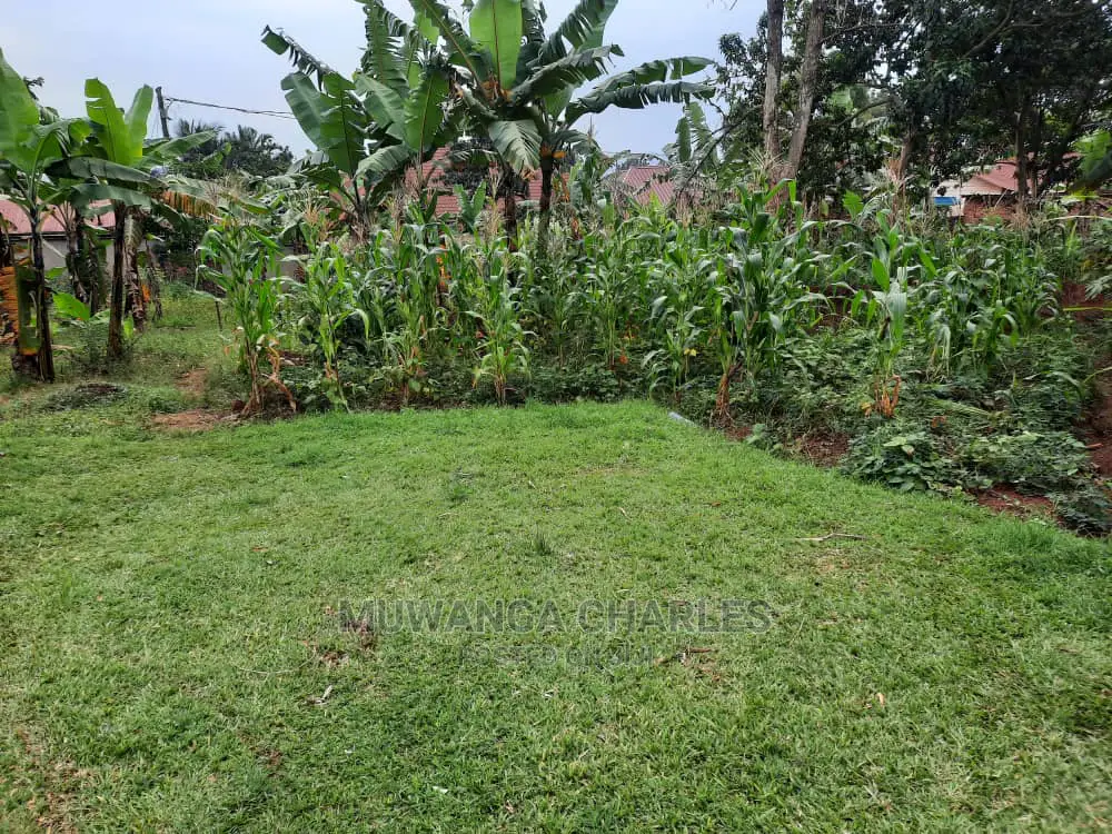 10acre's Is Available for Sale in Mukono in Mukono