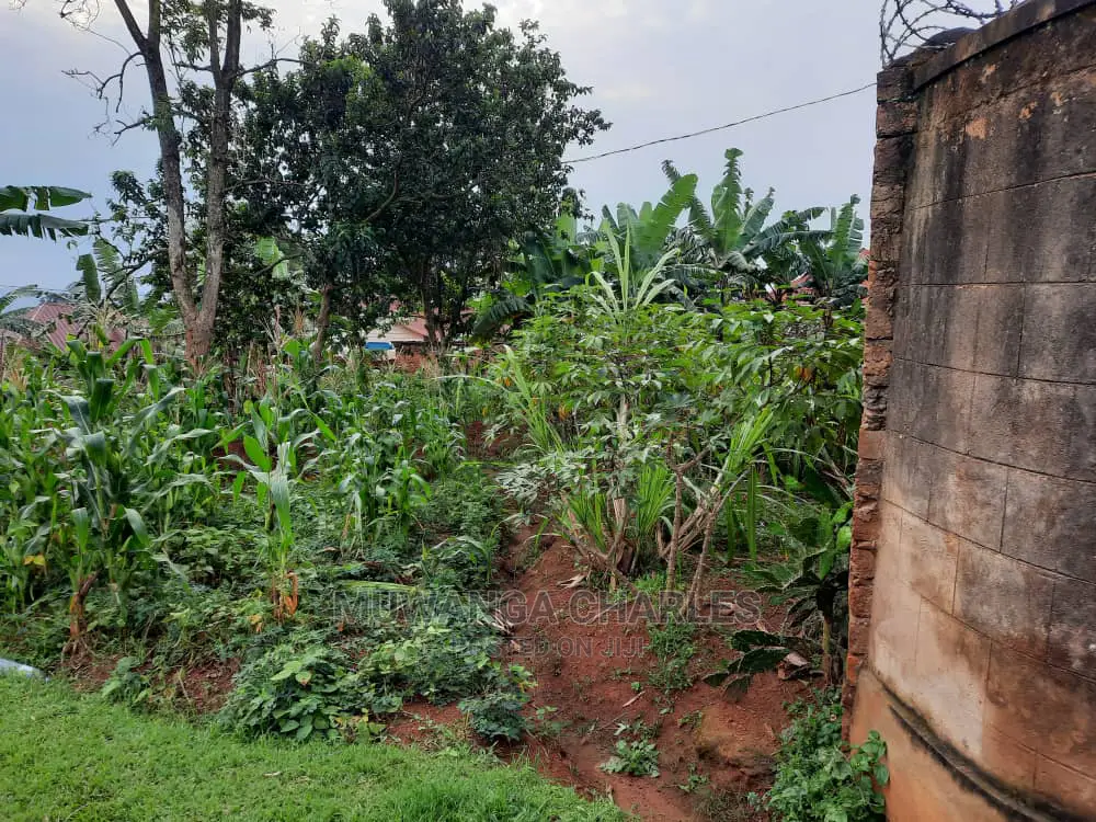 10acre's Is Available for Sale in Mukono in Mukono