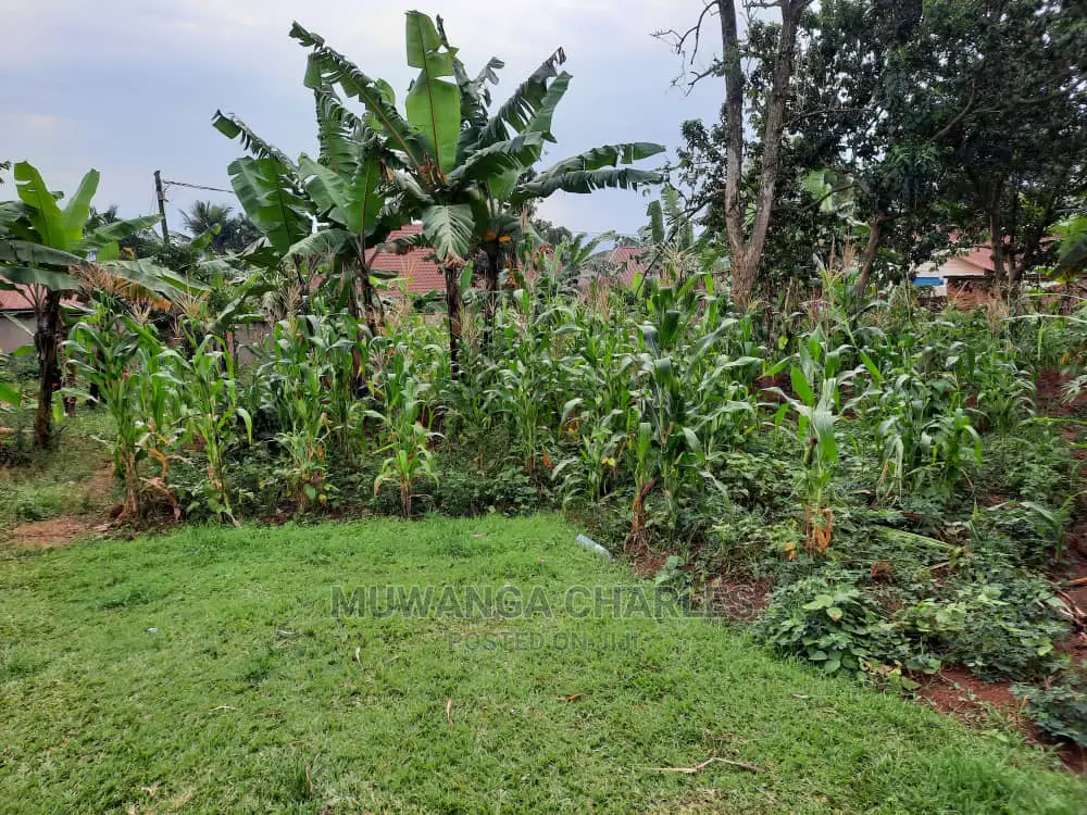10acre's Is Available for Sale in Mukono in Mukono