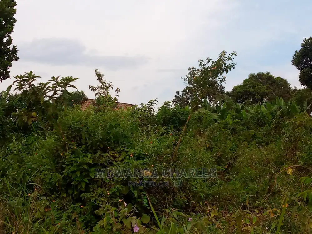10acre's Is Available for Sale in Mukono in Mukono
